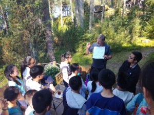 Instructions about Finnish nature